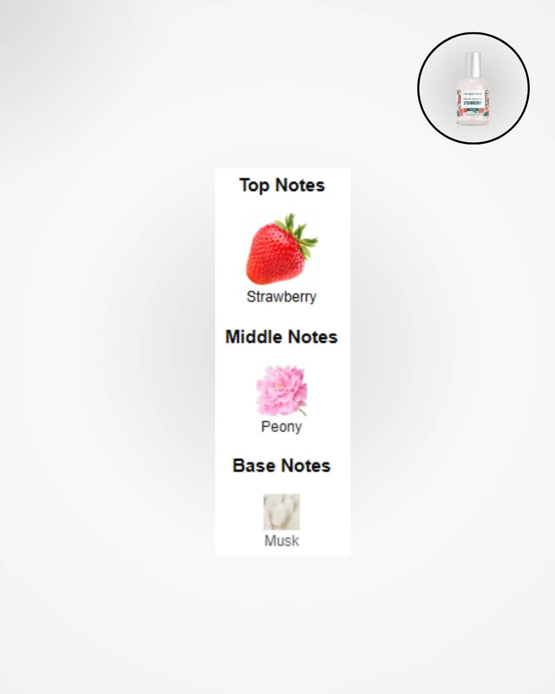 THE BODY SHOP STRAWBERRY