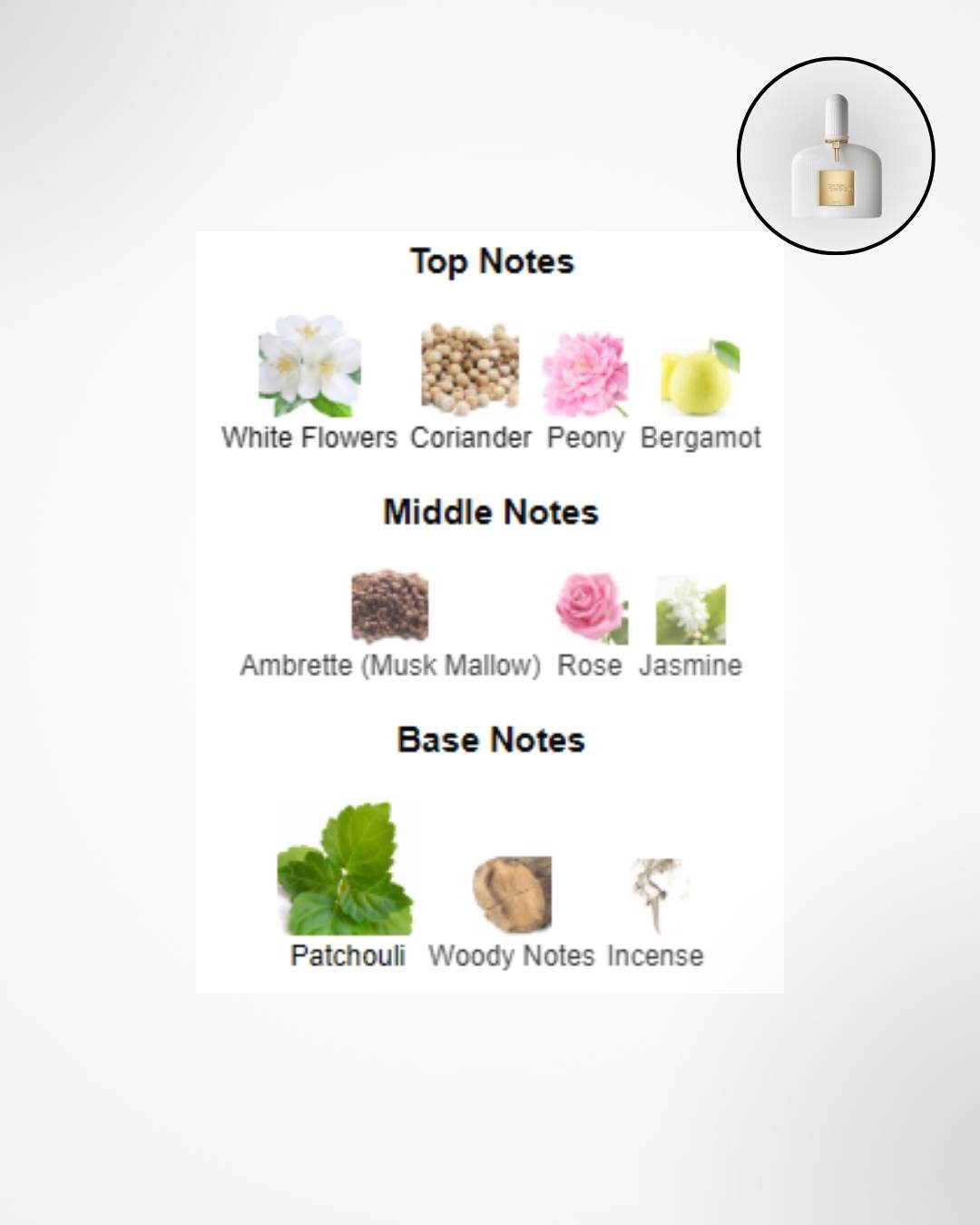 TOM FORD WHITE PATCHOULI